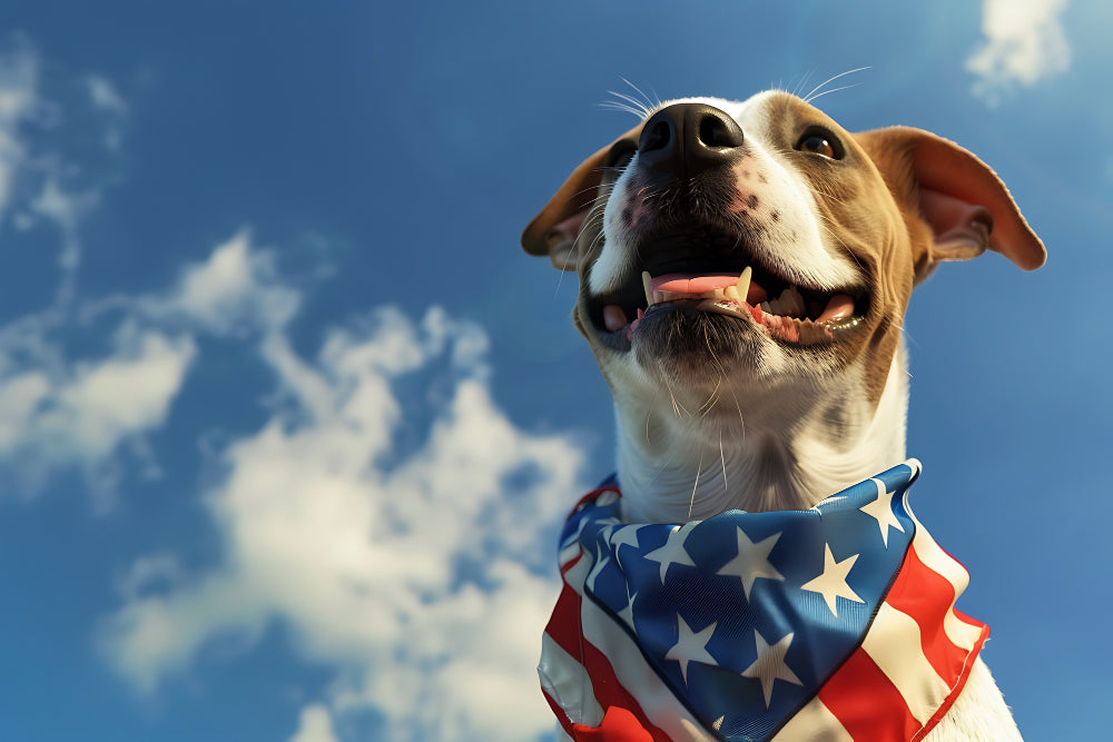 Pet Safety During Memorial Day: Tips for a Fun and Secure Holiday