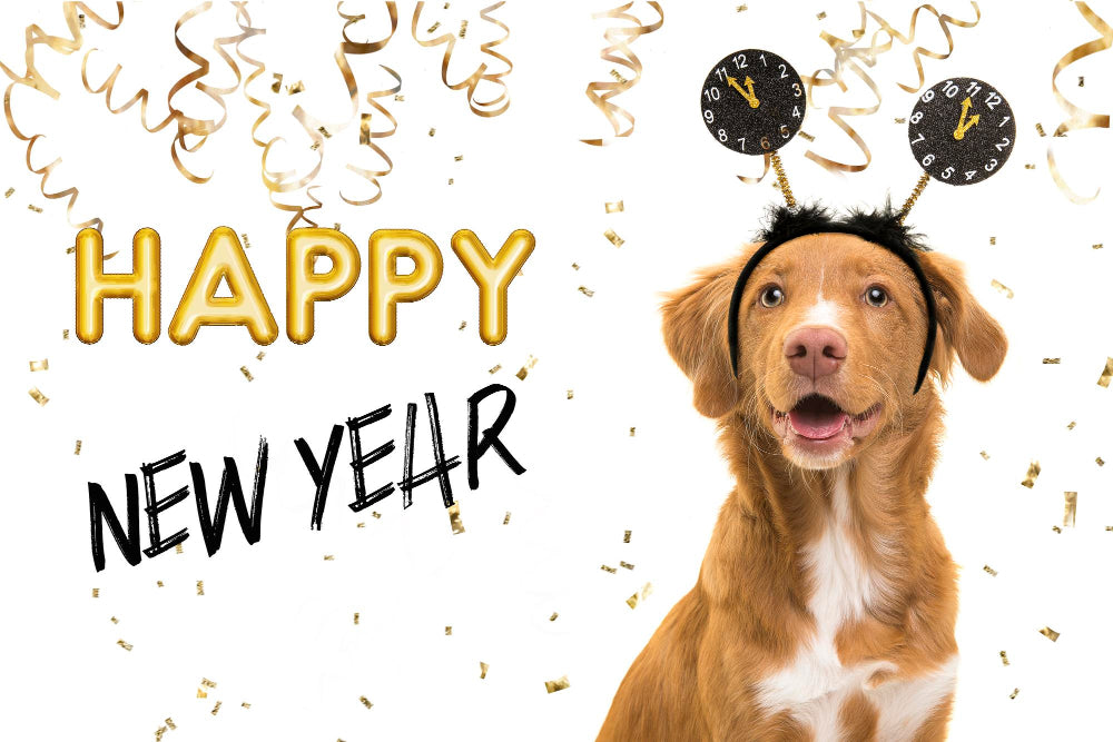 Thank You for a Pawsome Year! 