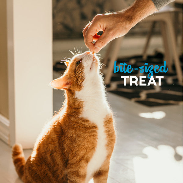 Buddy Biscuits Grain Free Tempting Tuna Cat Treats