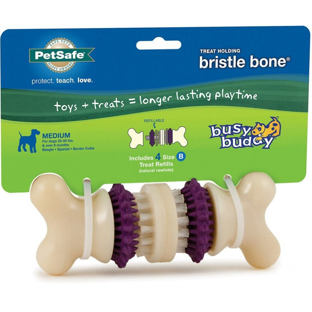 PetSafe Busy Buddy Bristle Bone Dog Toy