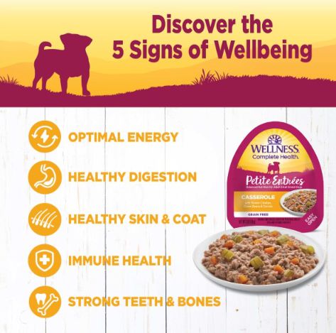 Wellness Petite Entrees Casserole Grain Free Natural Tender Chicken Recipe Wet Dog Food