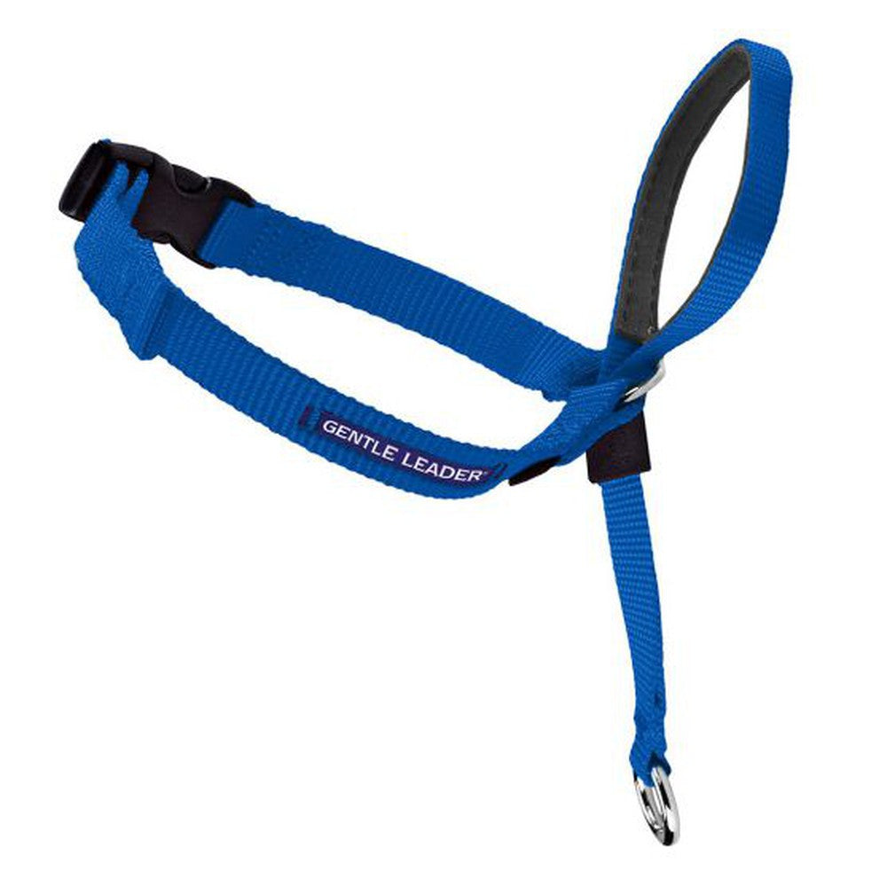 Petsafe Gentle Leader Quick Release Royal Blue Headcollar for Dogs