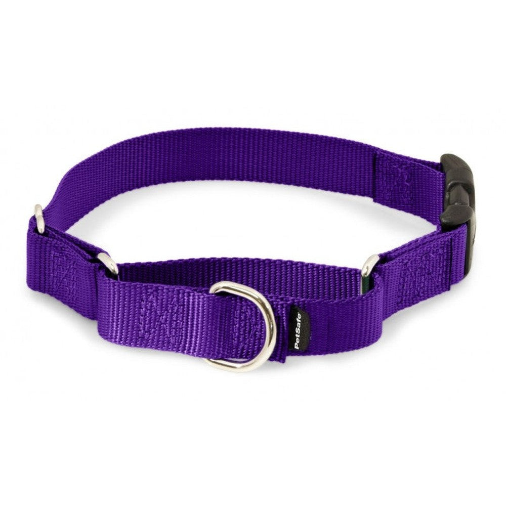 PetSafe Premier Martingale Deep Purple Quick Snap Pet Collar