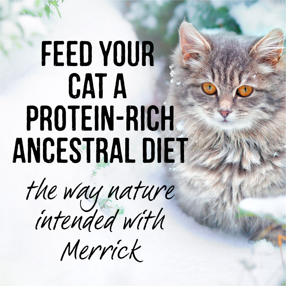Merrick Backcountry Grain Free Gluten Free Premium High Protein Wet Cat Food, Chicken Recipe Cuts With Gravy
