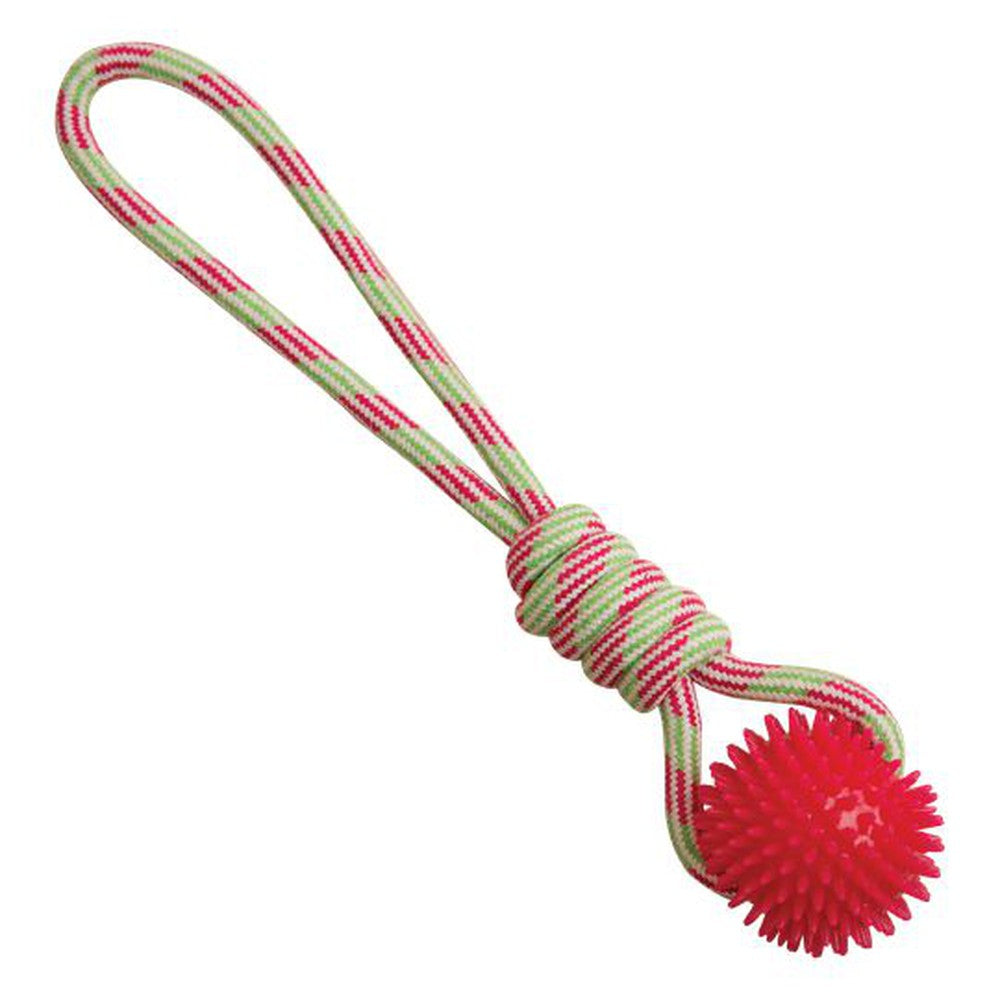 Snugarooz Spike-O-Mite Rope Dog Toy