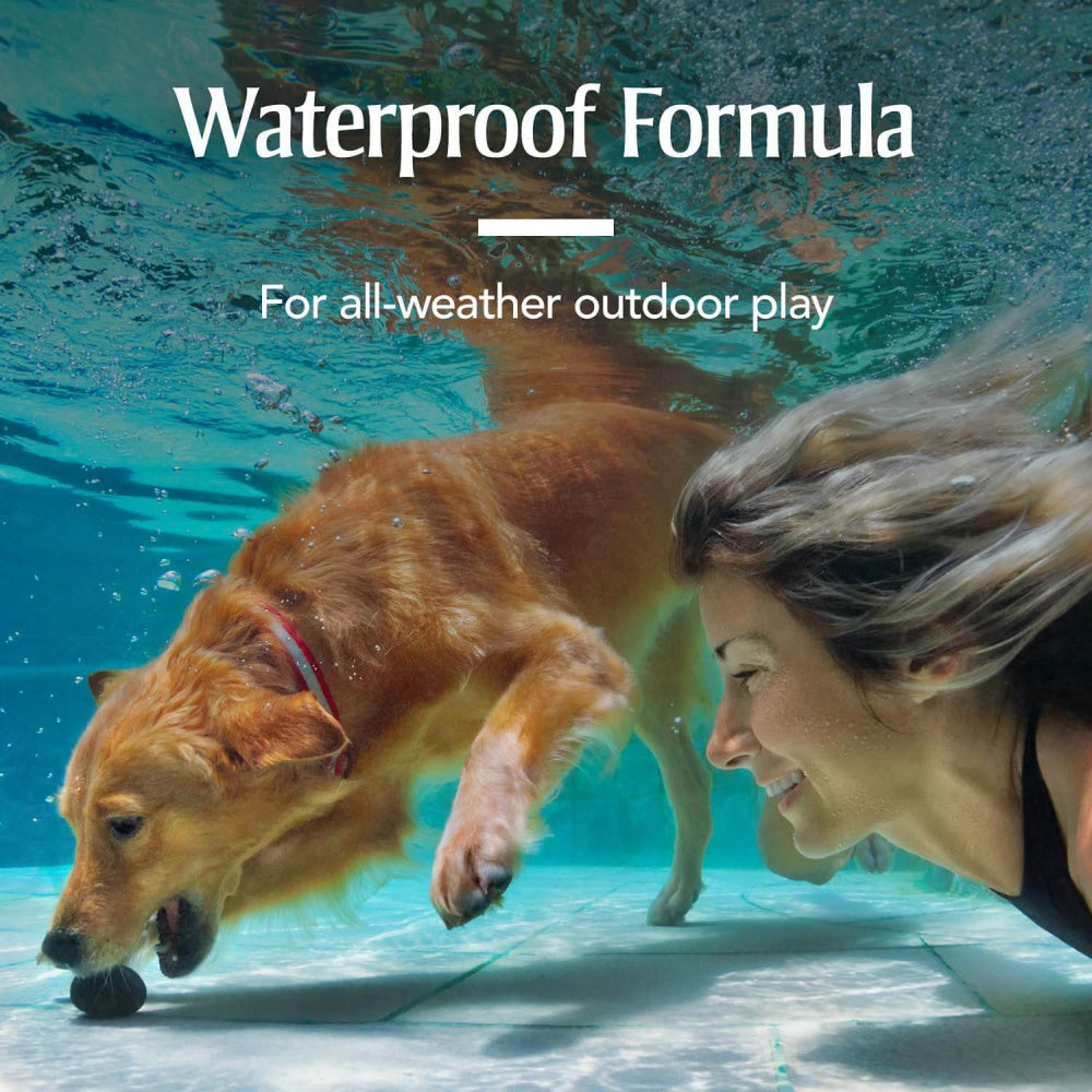 PetArmor Plus Flea & Tick Spot Treatment for Dogs 5-22 lbs