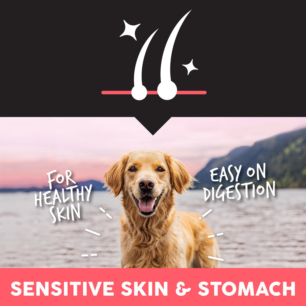 Ultimates Sensitive With Salmon Protein Dry Dog Food