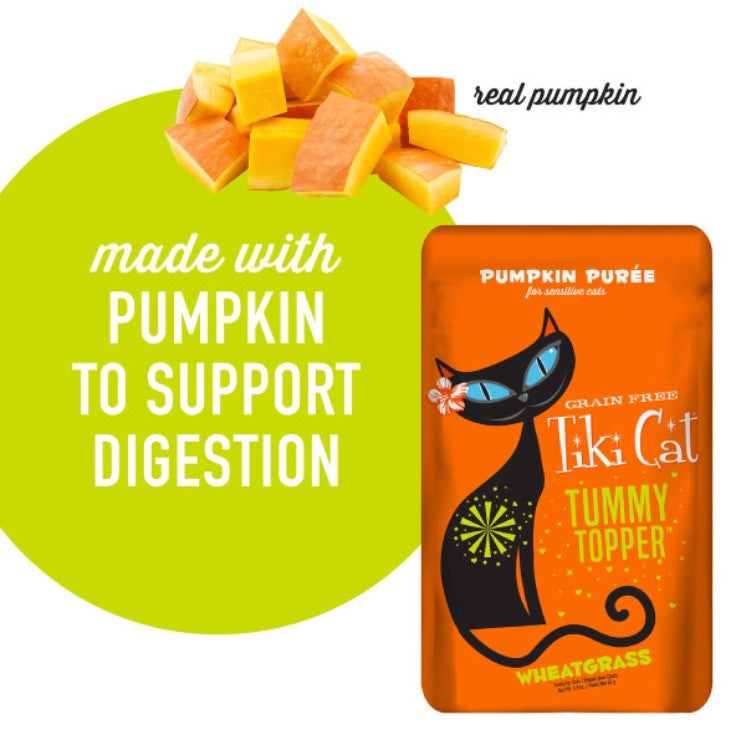 Tiki Cat Tummy Topper Pumpkin Puree Wet Cat Food Topper Food Pouch