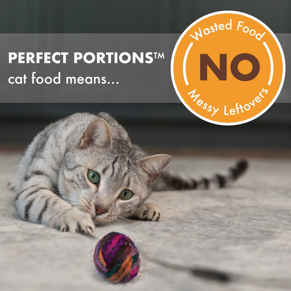 Nutro Perfect Portions Adult Grain Free Chicken and Shrimp Pate Wet Cat Food Trays
