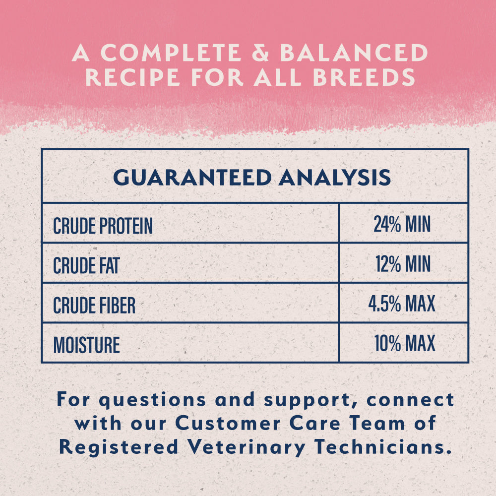 Natural Balance Limited Ingredient Salmon & Brown Rice Recipe Dry Dog Food